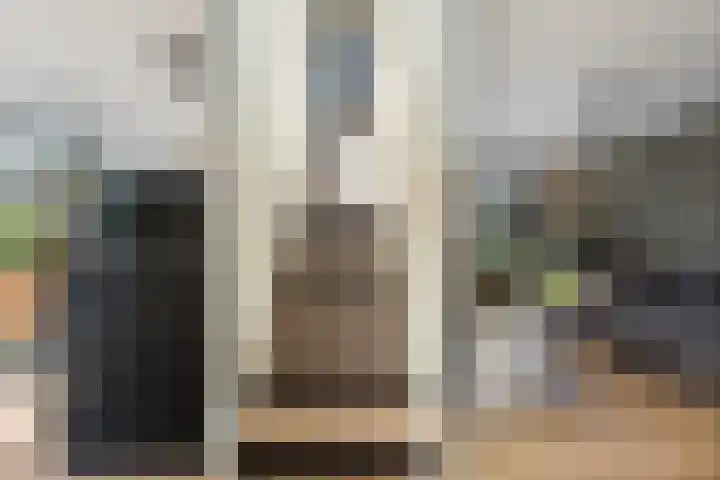 De Zeis 4 Arnhem thumbnail 6