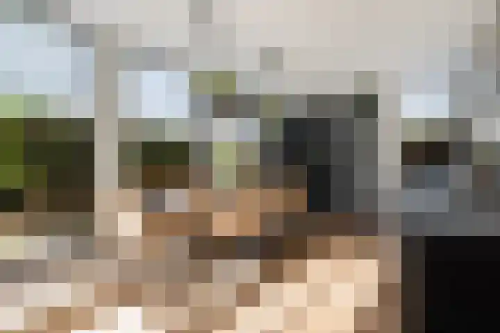 De Zeis 4 Arnhem thumbnail 7