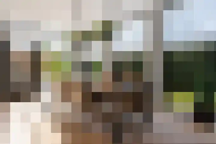 De Zeis 4 Arnhem thumbnail 9