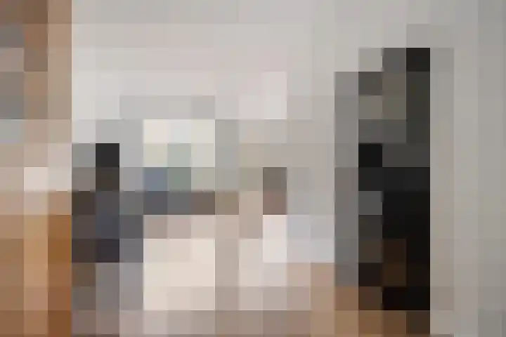 De Zeis 41 Heesch thumbnail 11