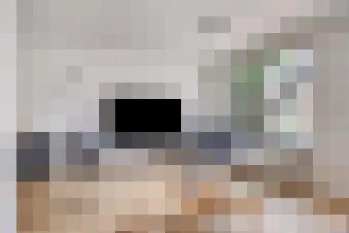 De Zeis 41 Heesch thumbnail 13