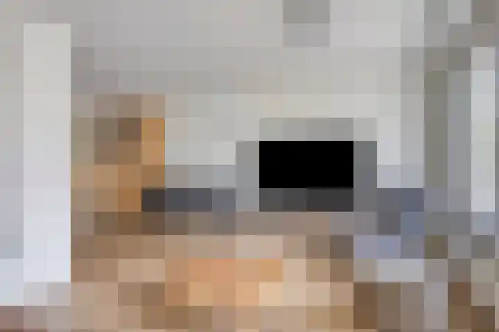De Zeis 41 Heesch thumbnail 14