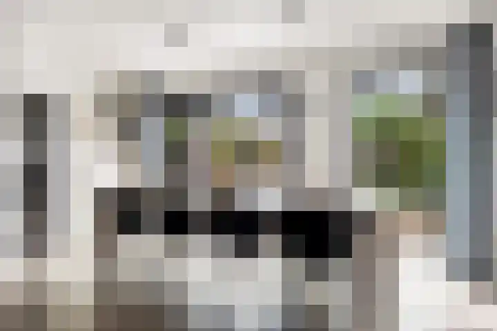 De Zeis 41 Heesch thumbnail 15