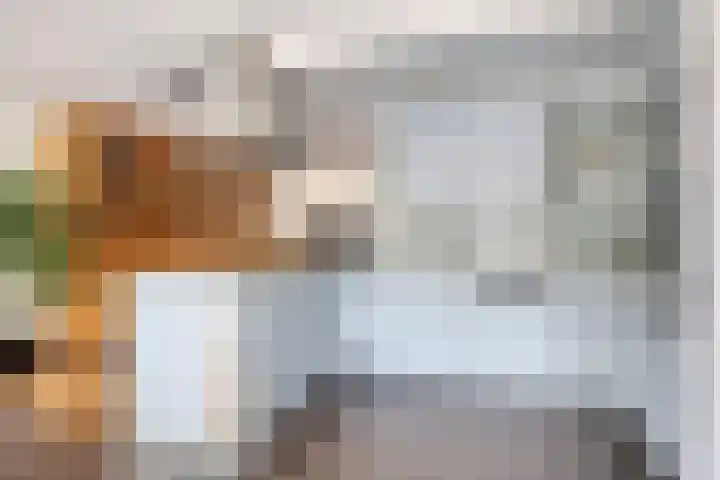 De Zeis 41 Heesch thumbnail 17