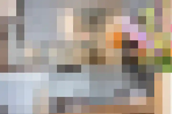 De Zeis 41 Heesch thumbnail 18