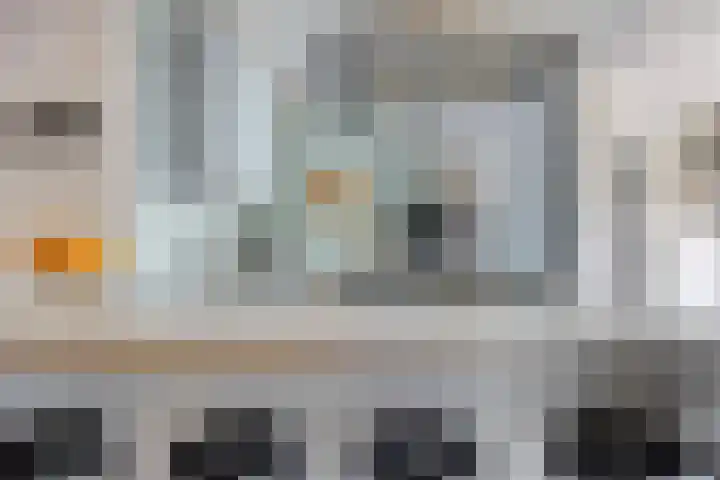 De Zeis 41 Heesch thumbnail 19