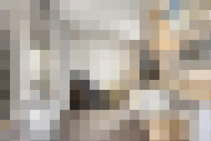 De Zeis 41 Heesch thumbnail 21