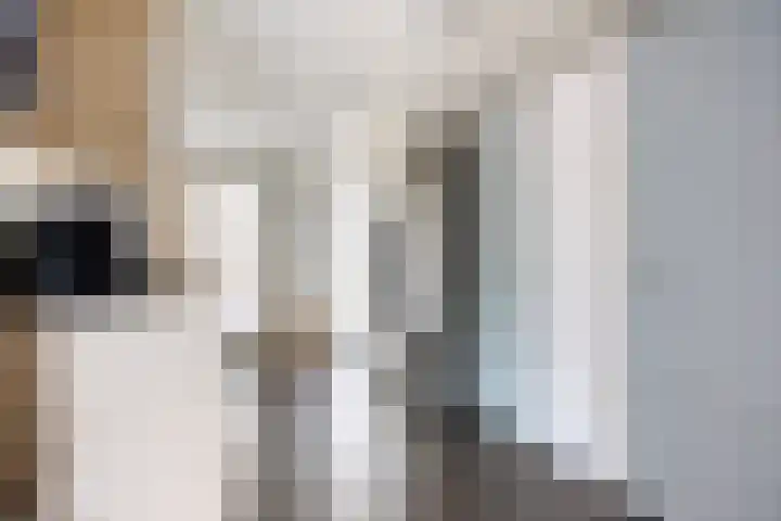De Zeis 41 Heesch thumbnail 23