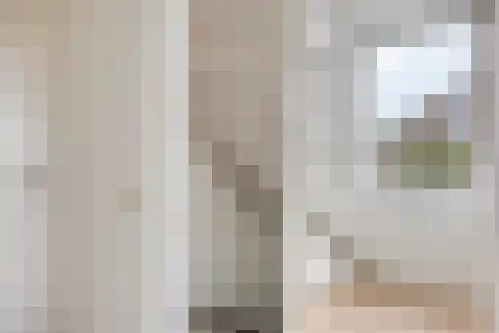 De Zeis 41 Heesch thumbnail 24