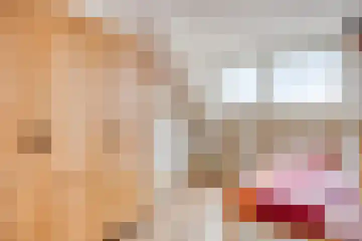 De Zeis 41 Heesch thumbnail 27