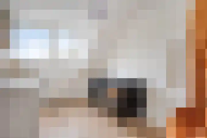 De Zeis 41 Heesch thumbnail 29