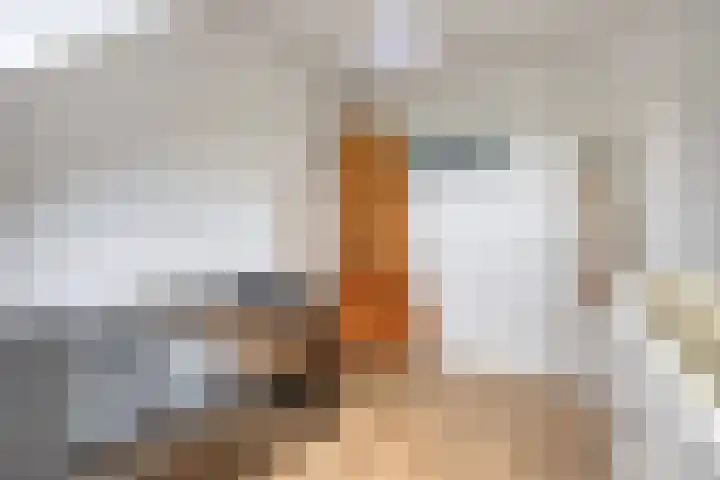 De Zeis 41 Heesch thumbnail 30