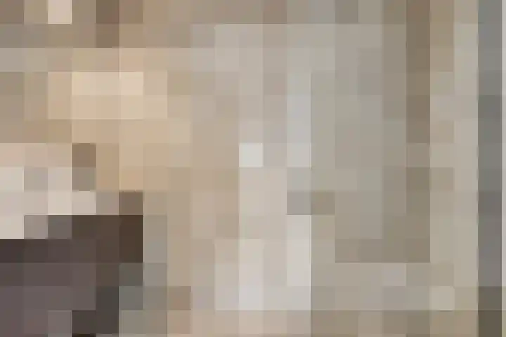 De Zeis 41 Heesch thumbnail 31