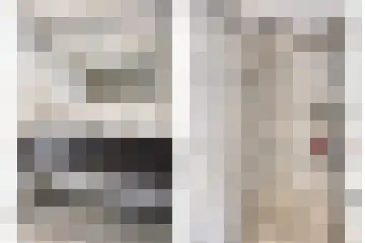 De Zeis 41 Heesch thumbnail 32