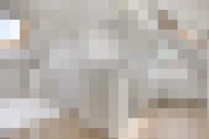 De Zeis 41 Heesch thumbnail 33