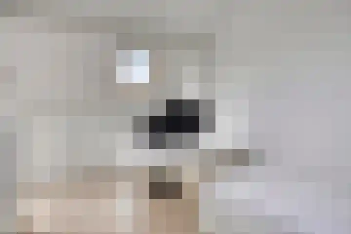 De Zeis 41 Heesch thumbnail 35