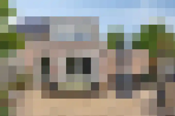 De Zeis 41 Heesch thumbnail 37