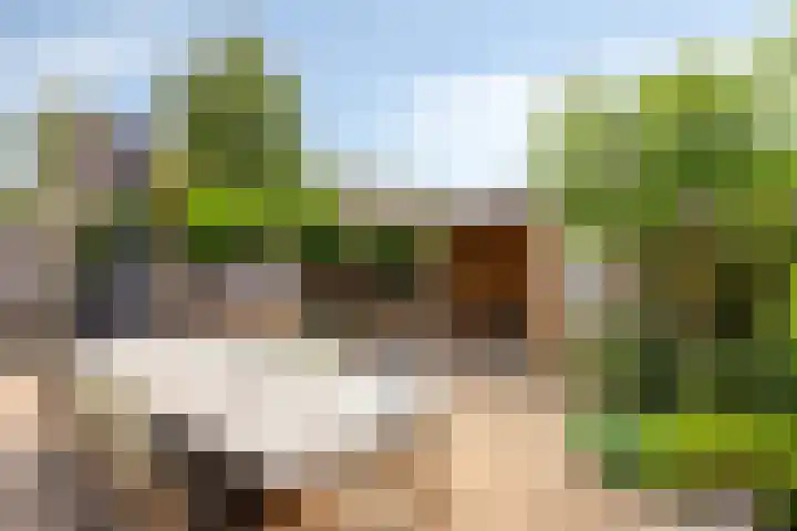 De Zeis 41 Heesch thumbnail 38