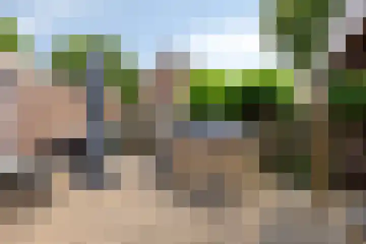 De Zeis 41 Heesch thumbnail 39