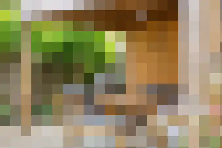 De Zeis 41 Heesch thumbnail 41