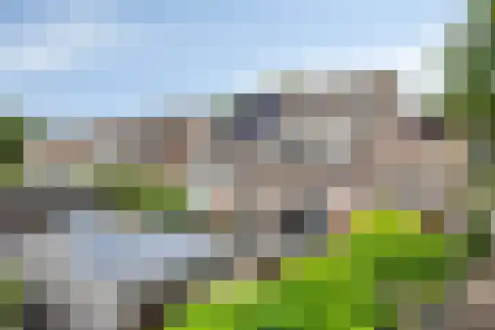 De Zeis 41 Heesch thumbnail 42