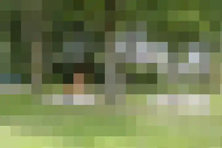 De Zeis 41 Heesch thumbnail 43