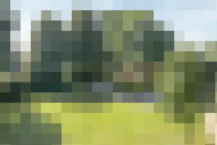 De Zeis 41 Heesch thumbnail 44