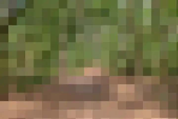 De Zeis 41 Heesch thumbnail 45