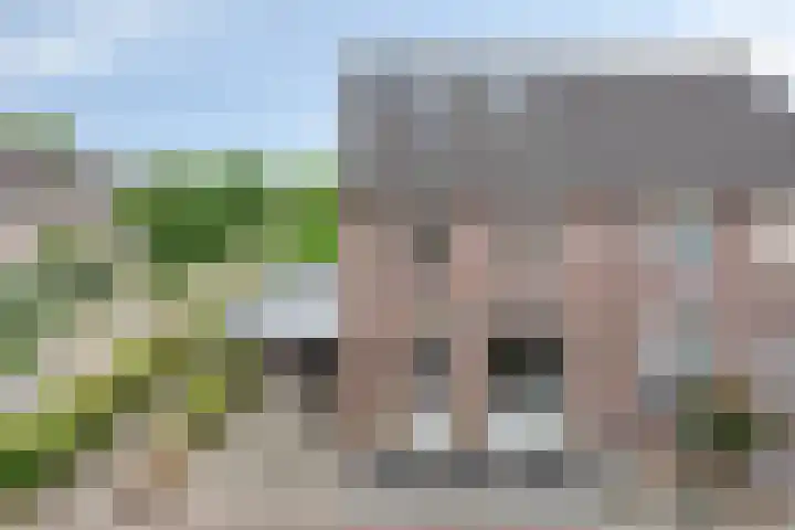 De Zeis 41 Heesch thumbnail 5