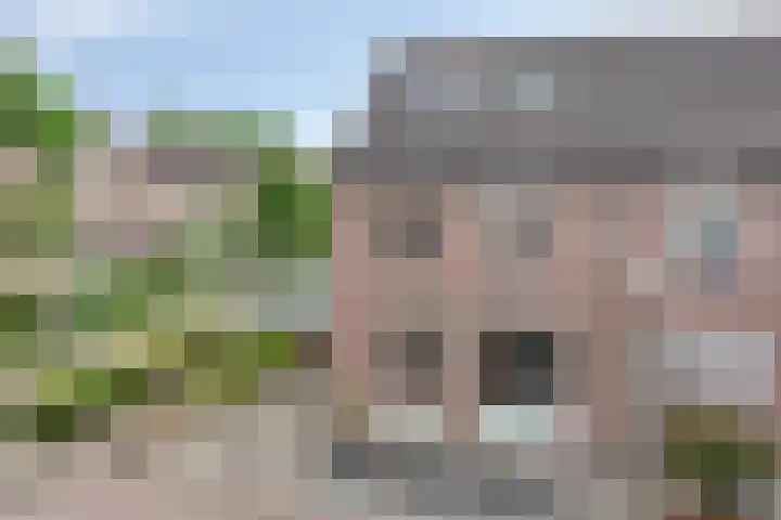 De Zeis 41 Heesch thumbnail 7