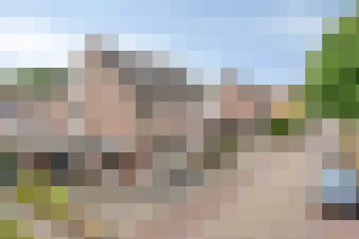 De Zeis 41 Heesch thumbnail 9