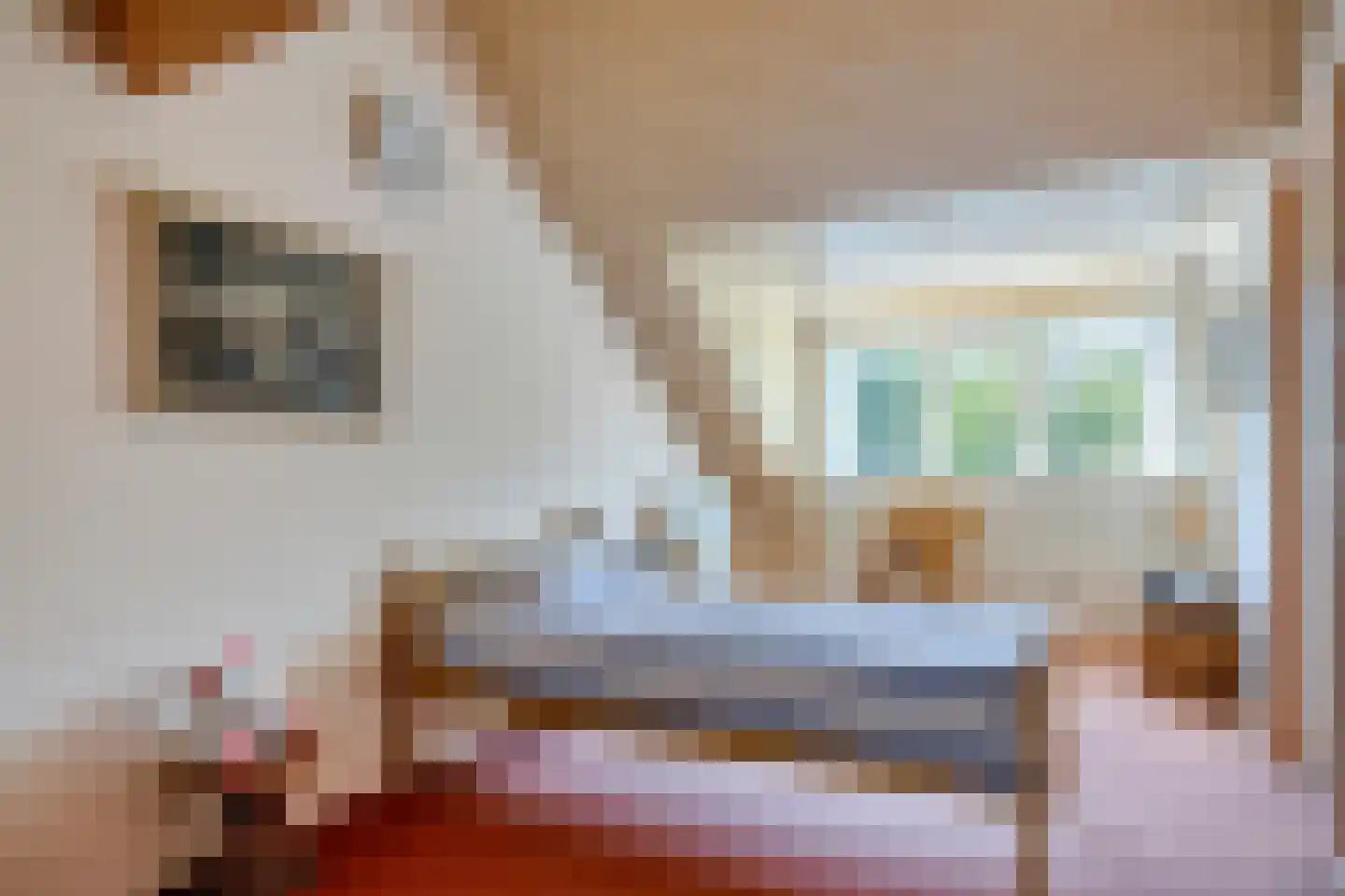 De Zeis 55 Heesch thumbnail 20
