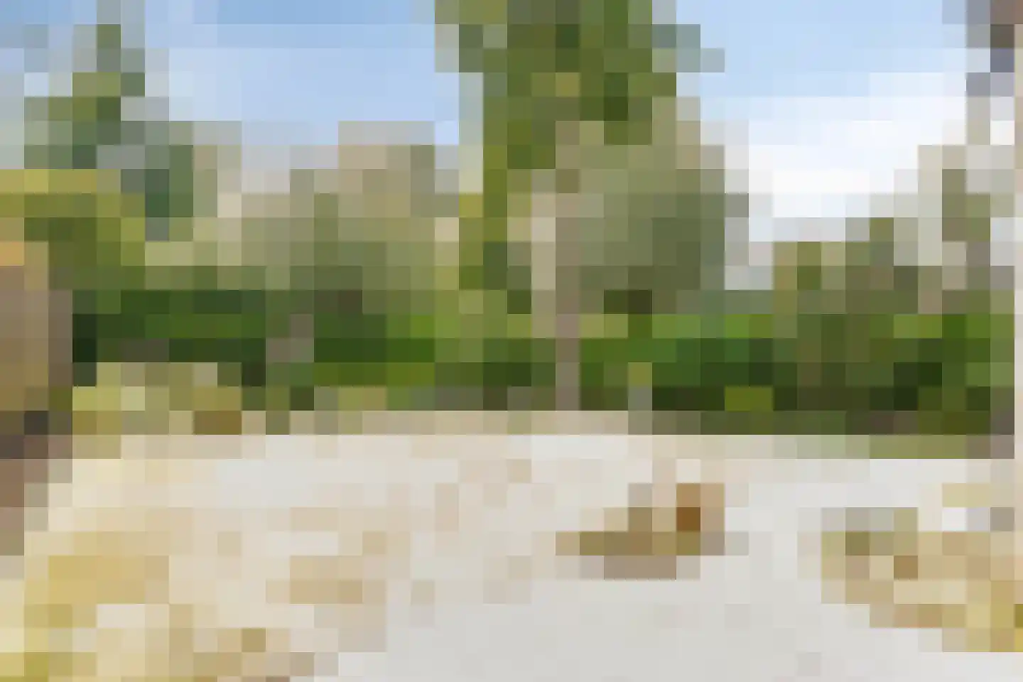 De Zeis 55 Heesch thumbnail 23