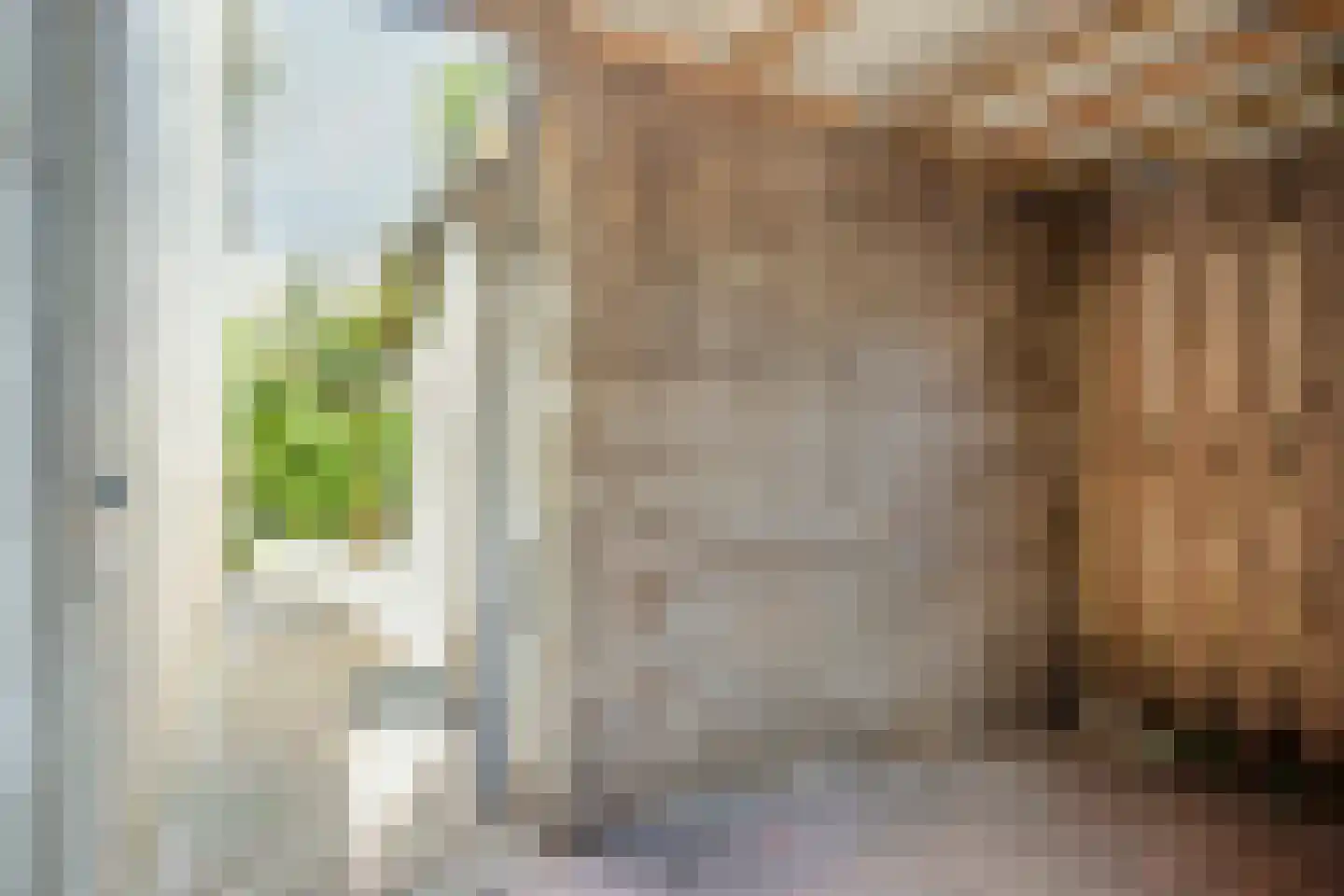 De Zeis 55 Heesch thumbnail 25