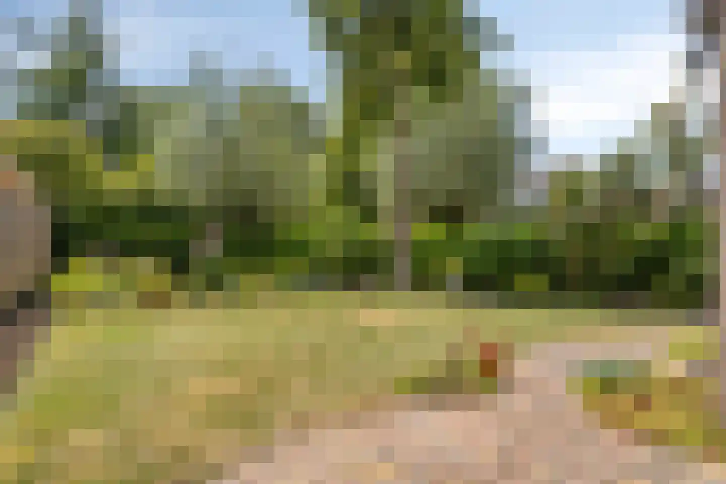 De Zeis 55 Heesch thumbnail 25