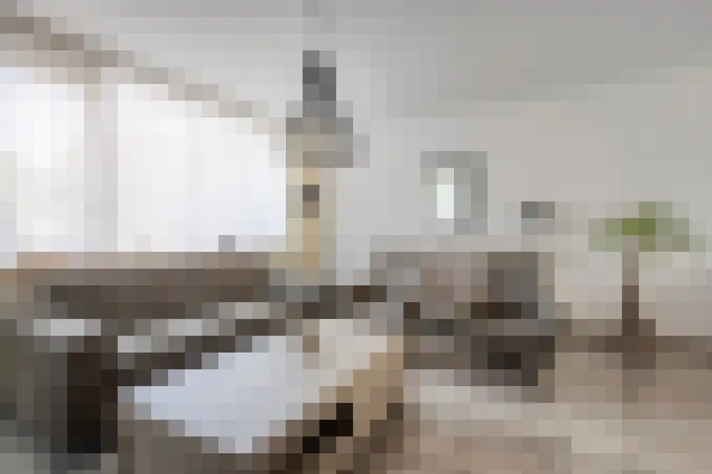 De Zeis 55 Heesch thumbnail 4