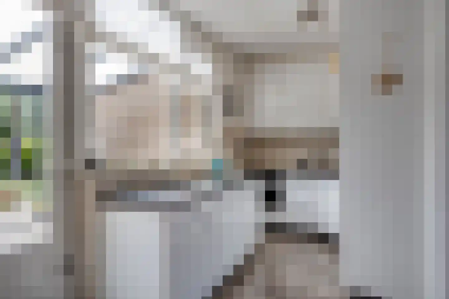 De Zeis 55 Heesch thumbnail 9