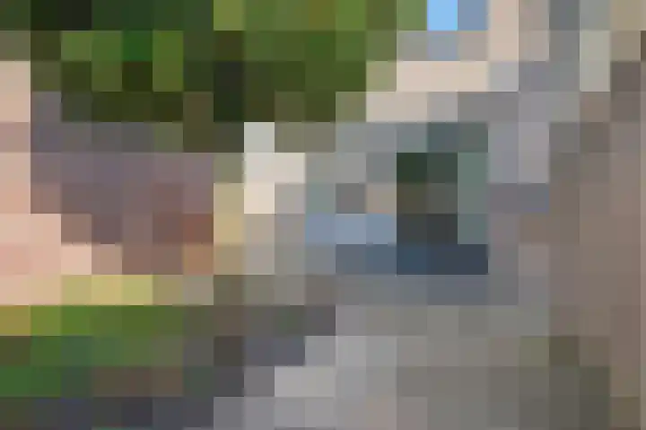 De Zeis 6 Arnhem thumbnail 22