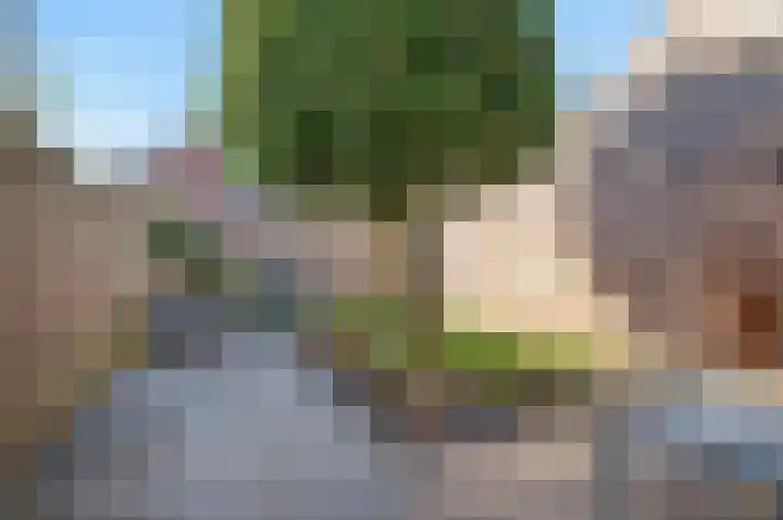 De Zeis 6 Arnhem thumbnail 23