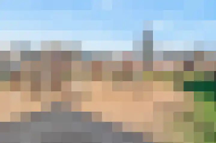 De Zeis 6 Arnhem thumbnail 29
