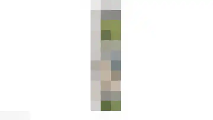 De Zeis 6 Arnhem thumbnail 33