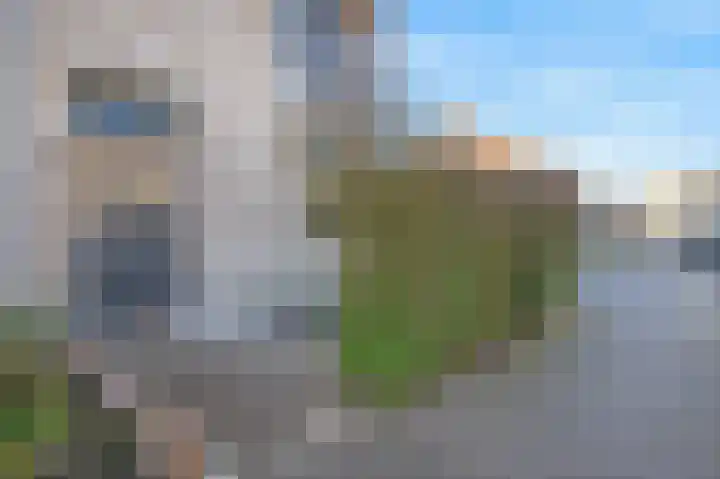 De Zeis 6 Arnhem thumbnail 5