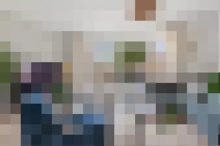 De Zeis 6 Arnhem thumbnail 7