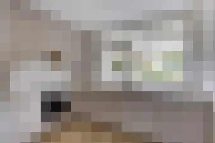 De Zende 11 Hoogeveen thumbnail 10