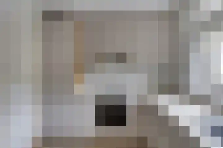 De Zende 11 Hoogeveen thumbnail 11