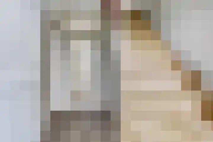 De Zende 11 Hoogeveen thumbnail 20