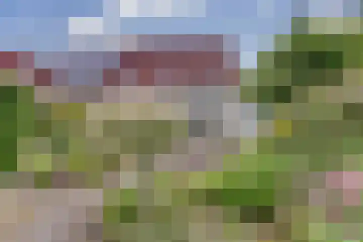 De Zende 11 Hoogeveen thumbnail 25
