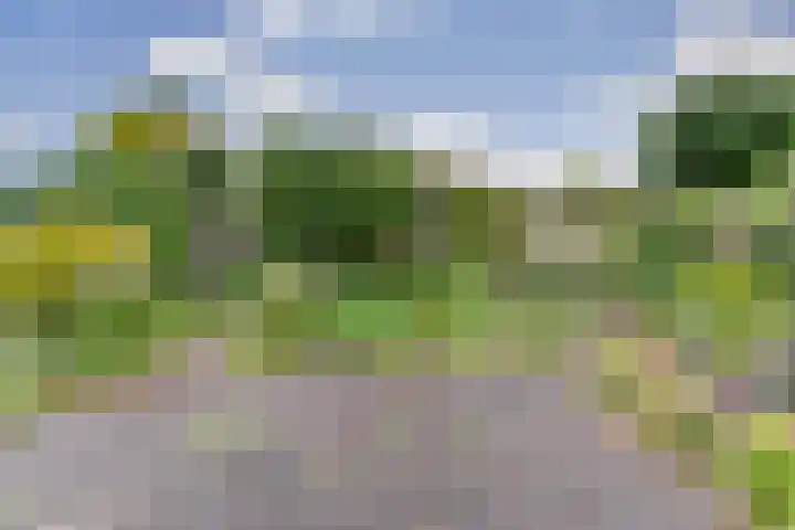 De Zende 11 Hoogeveen thumbnail 26