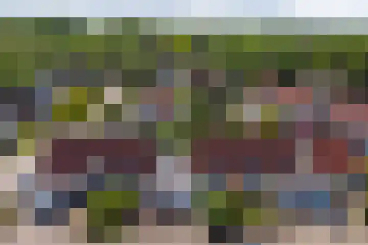 De Zende 11 Hoogeveen thumbnail 29