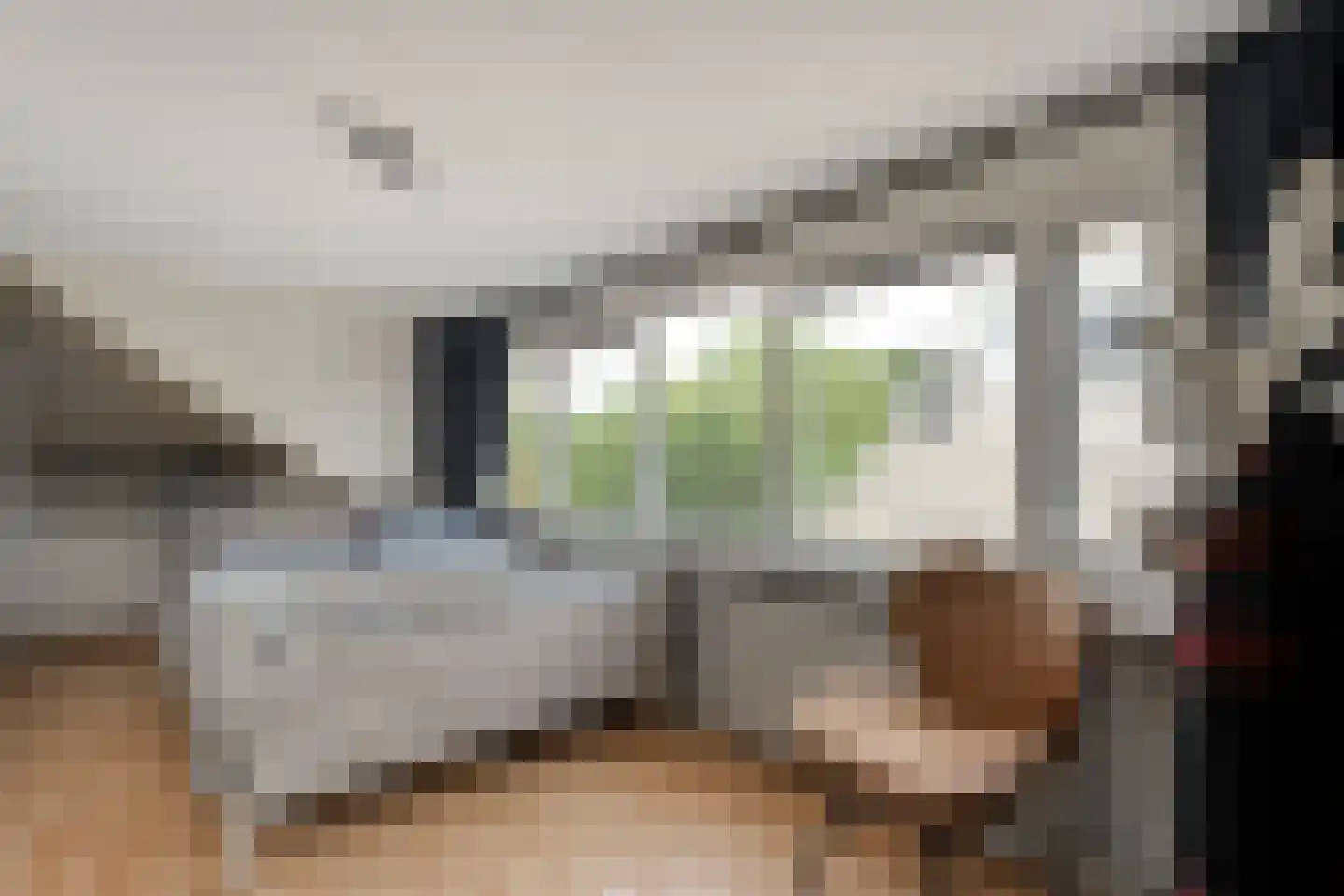 De Zende 44 Hoogeveen thumbnail 23